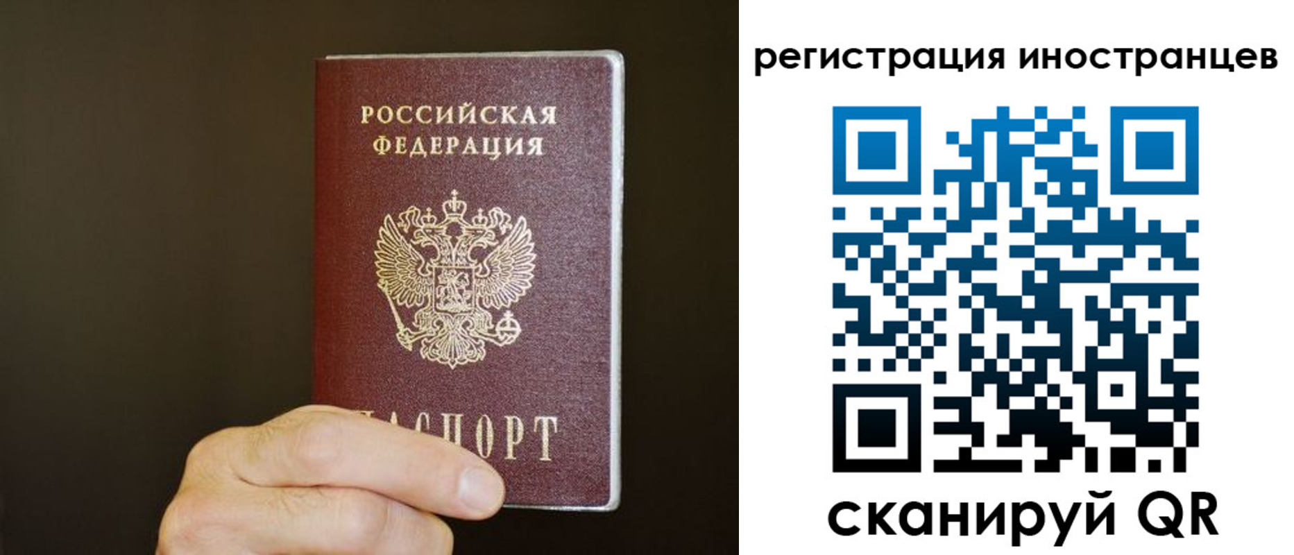 прописка в Заполярном